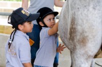 /album/fotogaleria/sierra-dorada-2-jpg/